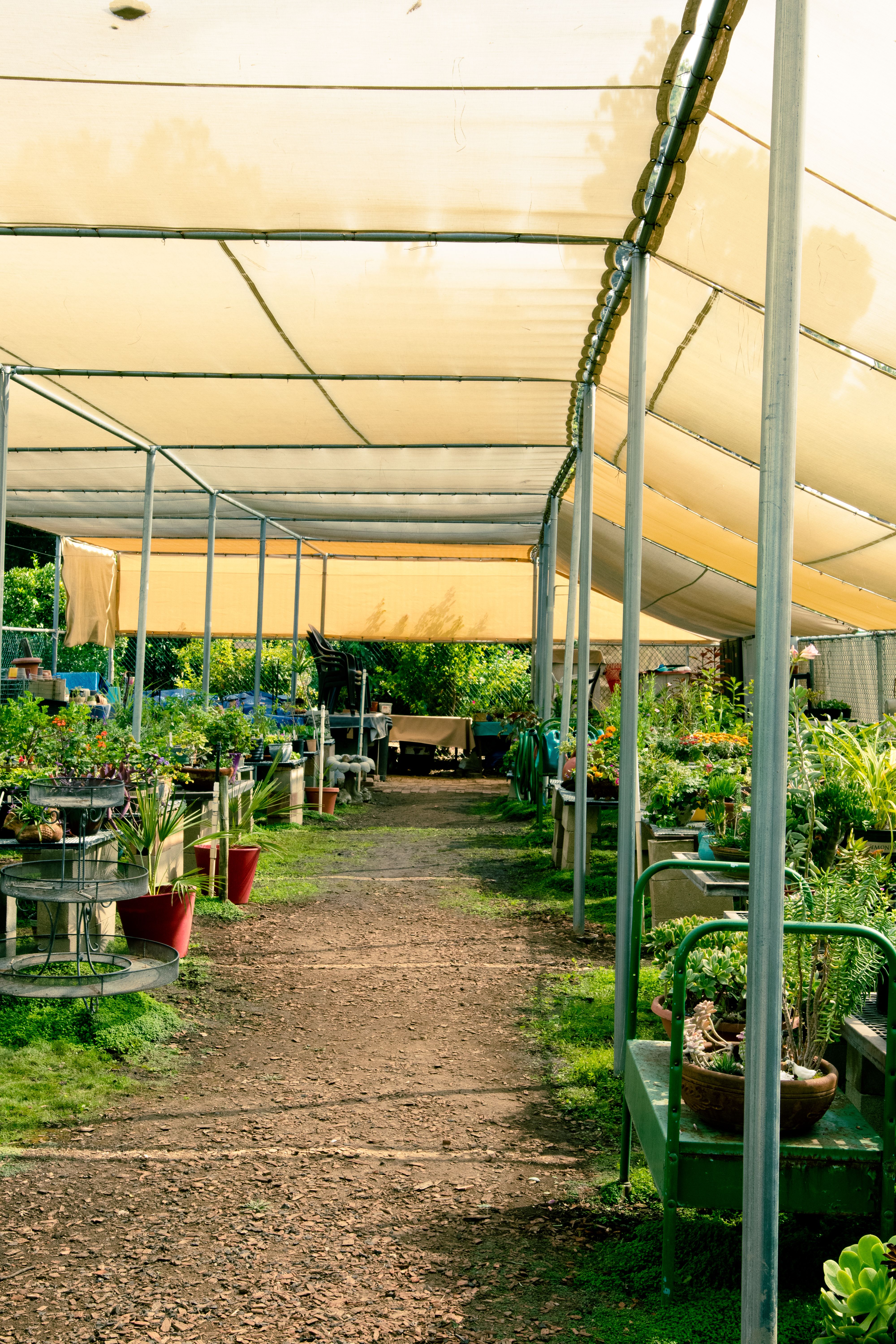 Extérieur & Jardin